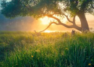 Blog - Counselling Plymouth - Ocean City Counselling